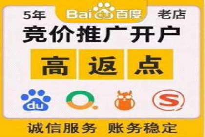 SEM代理助力企业：案例分享，优化策略全解析